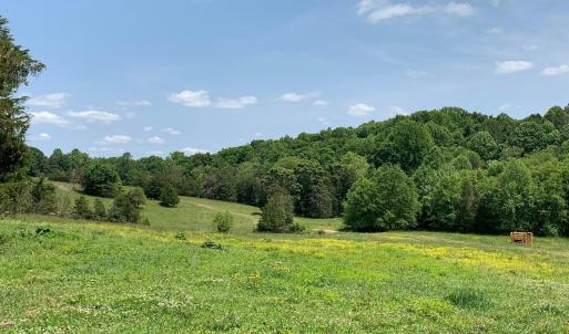 Photo #1 of TM 63-22 TATUM RD, UNIONVILLE, VA 271.9 acres