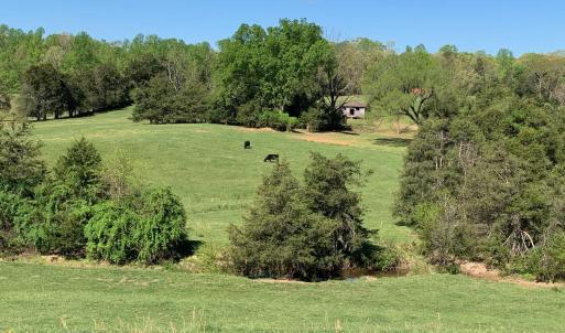 Photo #13 of TM 63-22 TATUM RD, UNIONVILLE, VA 271.9 acres