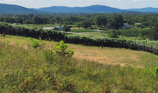 Photo #46 of TBD AFTON MOUNTAIN RD, AFTON, VA 4.9 acres