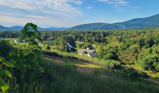 Photo #11 of TBD AFTON MOUNTAIN RD, AFTON, VA 4.9 acres