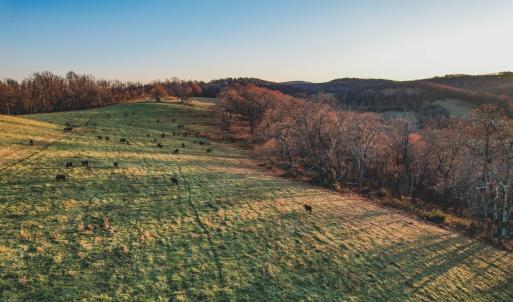 Photo #11 of SOLD property in TBD LEEDS MANOR RD, DELAPLANE, VA 490.4 acres