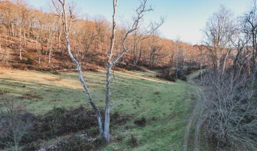 Photo #19 of SOLD property in TBD LEEDS MANOR RD, DELAPLANE, VA 490.4 acres