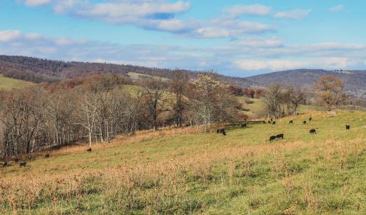 Photo #25 of SOLD property in TBD LEEDS MANOR RD, DELAPLANE, VA 490.4 acres