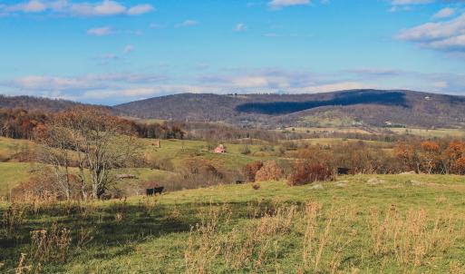 Photo #31 of SOLD property in TBD LEEDS MANOR RD, DELAPLANE, VA 490.4 acres