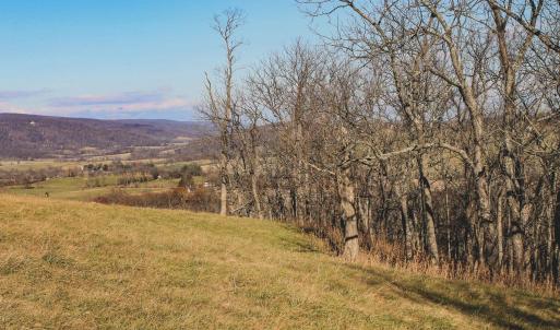 Photo #39 of SOLD property in TBD LEEDS MANOR RD, DELAPLANE, VA 490.4 acres