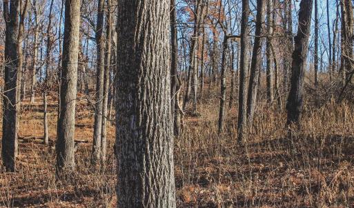 Photo #42 of SOLD property in TBD LEEDS MANOR RD, DELAPLANE, VA 490.4 acres