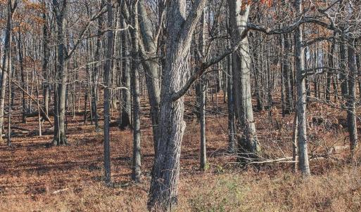 Photo #64 of SOLD property in TBD LEEDS MANOR RD, DELAPLANE, VA 490.4 acres