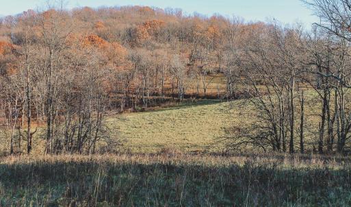 Photo #68 of SOLD property in TBD LEEDS MANOR RD, DELAPLANE, VA 490.4 acres