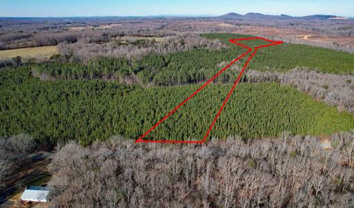 Photo #2 of Lot 3 PLANK RD, DILLWYN, VA 30.3 acres