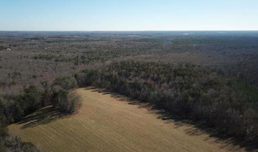 Photo #11 of 255 NAHOR MANOR RD, PALMYRA, VA 79.6 acres