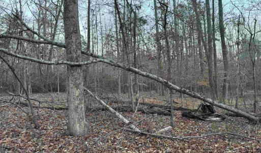 Photo #28 of 255 NAHOR MANOR RD, PALMYRA, VA 79.6 acres