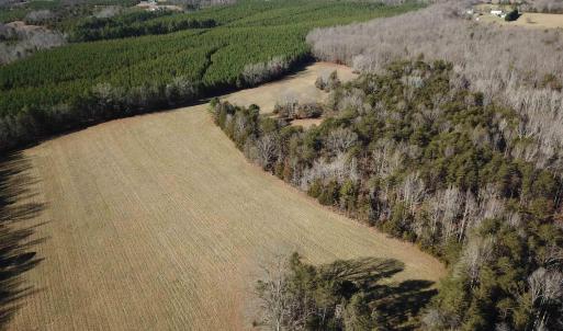 Photo #7 of 255 NAHOR MANOR RD, PALMYRA, VA 79.6 acres