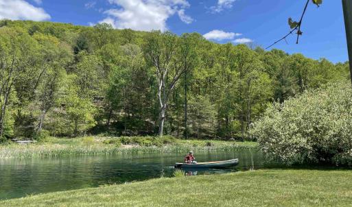 Photo #35 of 16554 BROCKS GAP RD, FULKS RUN, VA 20.4 acres