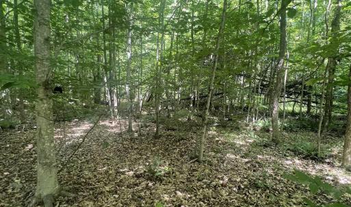 Photo #6 of CARYSBROOK RD, PALMYRA, VA 44.9 acres