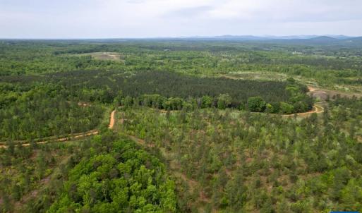 Photo #38 of TBD 1 MARTIN KINGS RD, SCOTTSVILLE, VA 2,081.3 acres