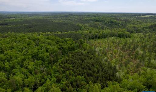 Photo #35 of TBD 1 MARTIN KINGS RD, SCOTTSVILLE, VA 2,081.3 acres