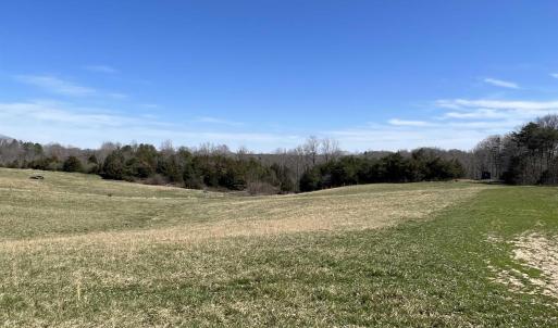 Photo #4 of CARYSBROOK RD, PALMYRA, VA 61.1 acres