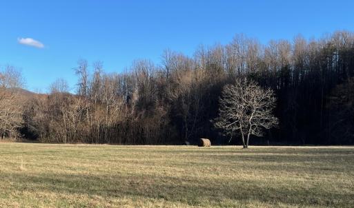 Photo #16 of 2255 L BEECH GROVE RD, ROSELAND, VA 38.8 acres