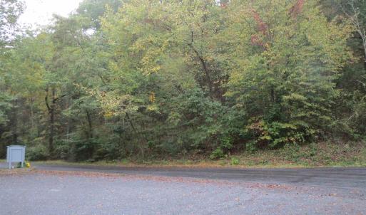 Photo #2 of STONEWALL DR, BASYE, VA 0.3 acres