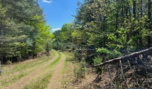 Photo #6 of 852A WEST BOTTOM RD, FORK UNION, VA 70.0 acres