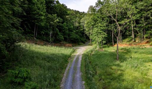 Photo #8 of 1390 PERKINS HOLLOW LN, FABER, VA 93.8 acres