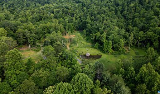 Photo #20 of 1390 PERKINS HOLLOW LN, FABER, VA 93.8 acres