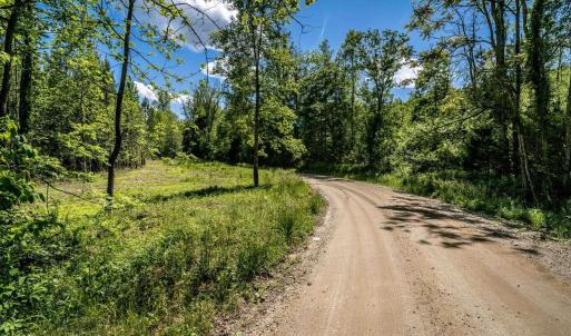 Photo #19 of GREEN CREEK RD, SCHUYLER, VA 110.0 acres