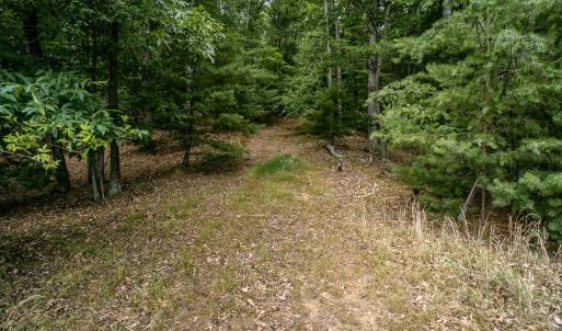 Photo #21 of 21071 BENNETT RUN RD, BERGTON, VA 68.3 acres