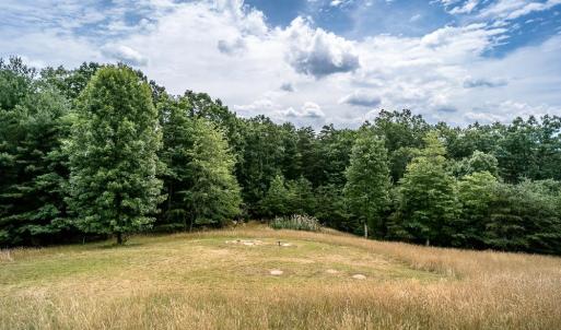 Photo #27 of 21071 BENNETT RUN RD, BERGTON, VA 68.3 acres