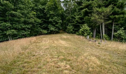 Photo #17 of 21071 BENNETT RUN RD, BERGTON, VA 68.3 acres