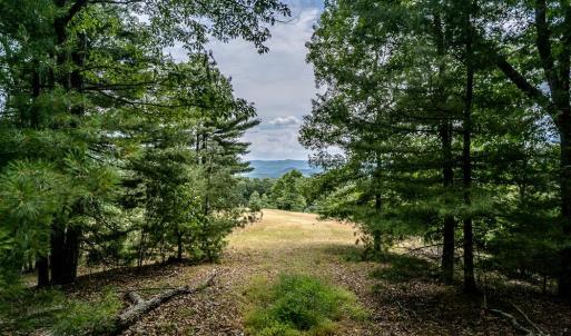 Photo #24 of 21071 BENNETT RUN RD, BERGTON, VA 68.3 acres