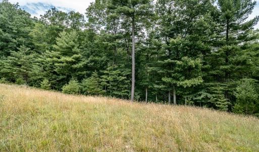 Photo #12 of 21071 BENNETT RUN RD, BERGTON, VA 68.3 acres