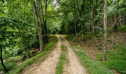 Photo #29 of 21071 BENNETT RUN RD, BERGTON, VA 68.3 acres