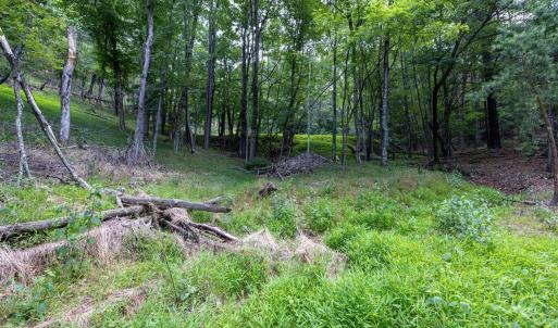 Photo #60 of 22590 CRIDERS RD, CRIDERS, VA 210.6 acres