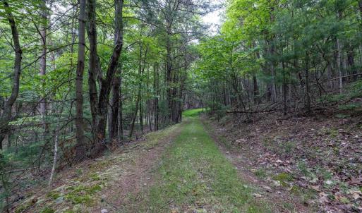 Photo #65 of 22590 CRIDERS RD, CRIDERS, VA 210.6 acres