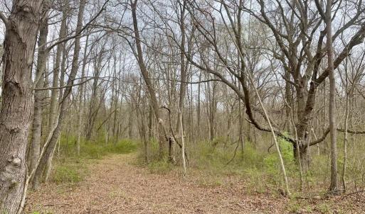 Photo #14 of 2420 ZULLA, THE PLAINS, VA 227.0 acres