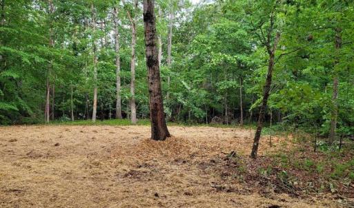 Photo #13 of HENSLEY RD, MINERAL, VA 2.2 acres
