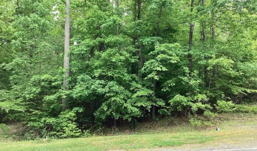 Photo #2 of FISHER DRIVE, MINERAL, VA 3.0 acres