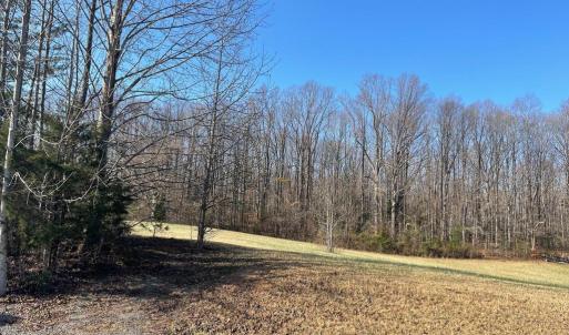 Photo #8 of SECLUSION SHORES DR, MINERAL, VA 0.9 acres