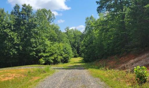 Photo #3 of MAPLE BOTTOM DR, UNIONVILLE, VA 45.2 acres