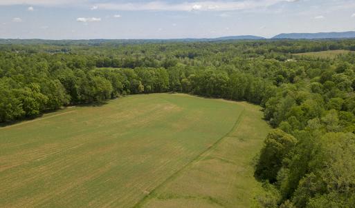 Planted Field