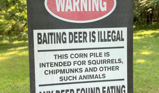 Deer  Beware
