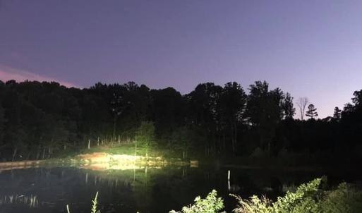 night on the pond