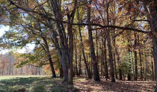 Middle entrance Woods