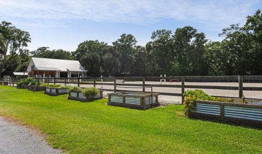 Raised planters along arena