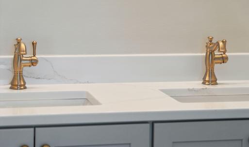 Dual sinks and quartz counters