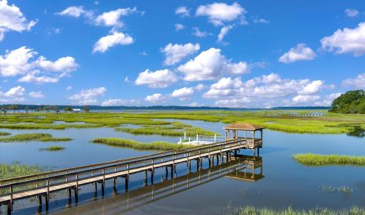 42-4641 Towles_d_Lowcountry_Exposure-1