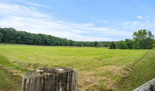 Photo #13 of 3278 Sandy River Road, Burkeville, VA 87.1 acres