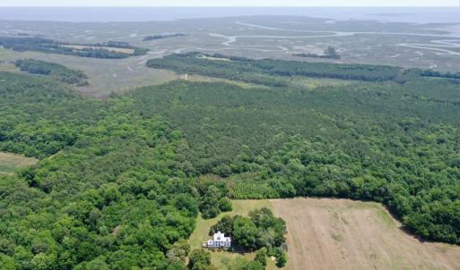 Photo #57 of 12105 SEASIDE RD, BIRDSNEST, VA 60.8 acres