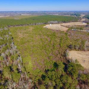 Photo #16 of SOLD property in 720 Eagles Road , Pinetops , NC 45.3 acres